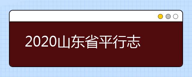 2020山東省平行志愿怎么報(bào)？平行志愿分幾類？